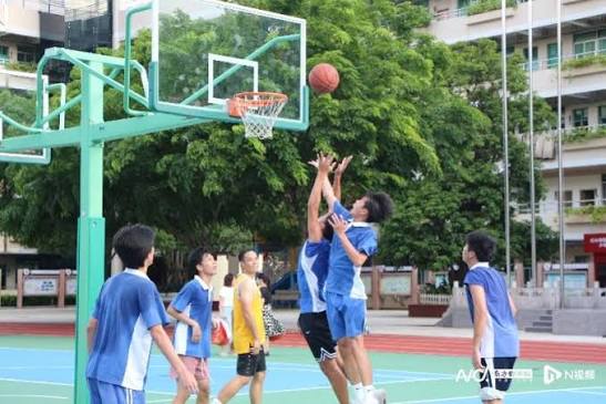 开云体育：品牌信息与阅读判断